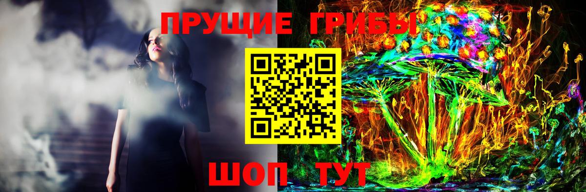 Псилоцибиновые грибы GOLDEN TEACHER  Псилоцибиновые грибы Cubensis  купить наркотики цена  Зеленогорск  Вход с VPN 