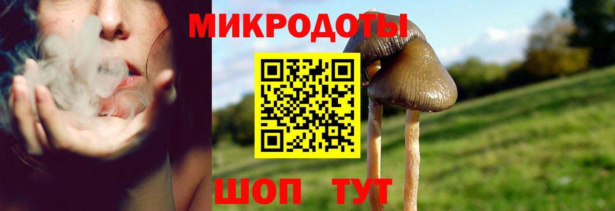 Галлюциногенные грибы прущие грибы Зеленогорск